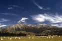 WT 037-34 New Zealand